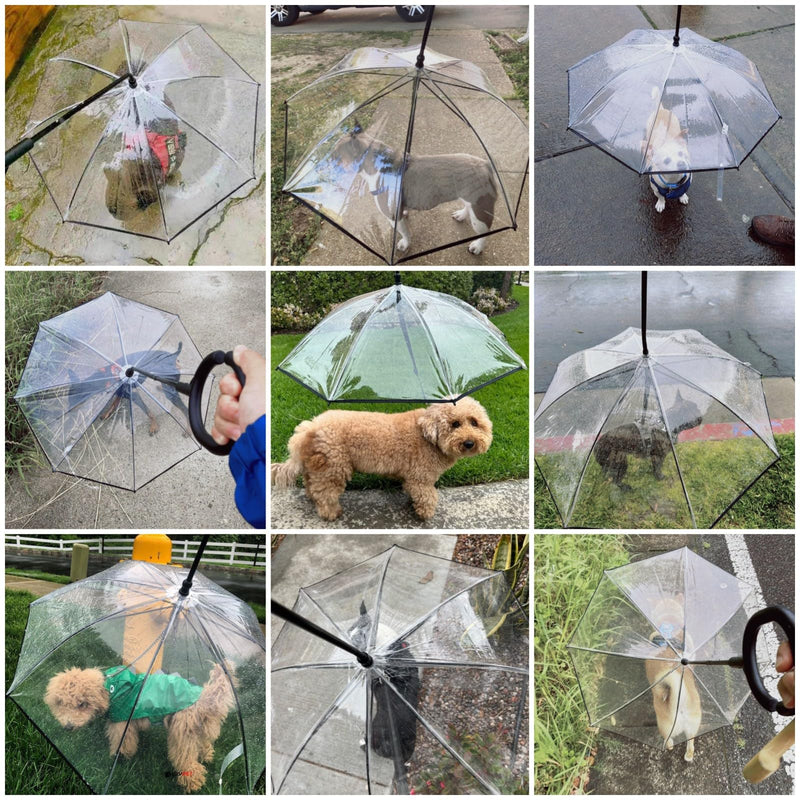 Namsan Clear Dog Umbrella for Small Dogs, Dog Umbrella Leash Keeps Dogs Dry in Rain Walking, Small Dog Rain Umbrella with Adjustable Leash, Self-Assembly