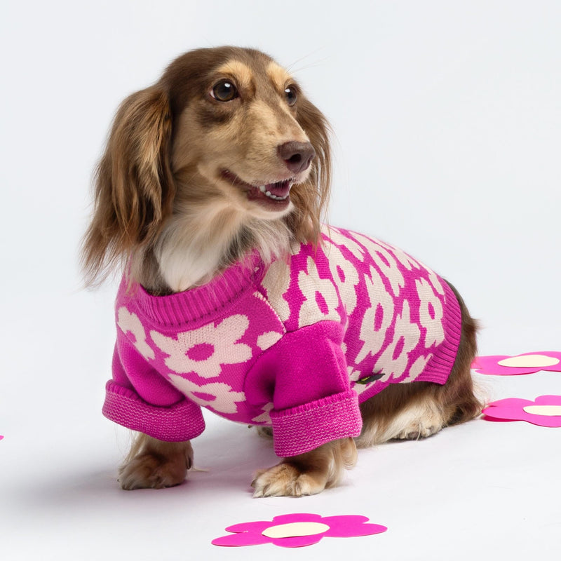 Fitwarm Floral Dog Sweater, Thermal Dog Sweatshirt, Dog Winter Clothes for Small Dogs Girl, Doggy Pullover Jumper, Pet Outfit, Hot Pink, White, Small Flower - PawsPlanet Australia