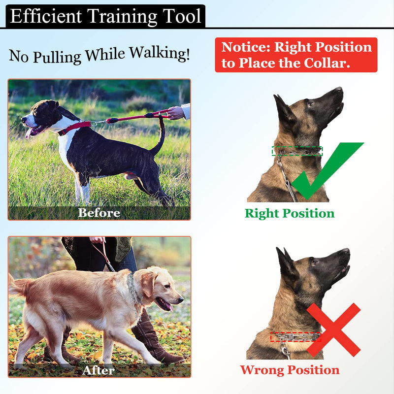 Dog Prong Traing Collar, Choke Pinch Collar [2 Extra Links][Dog Whistle][Cover] with Martingale Chain and Rubber Caps, for Medium Large Breed-S S