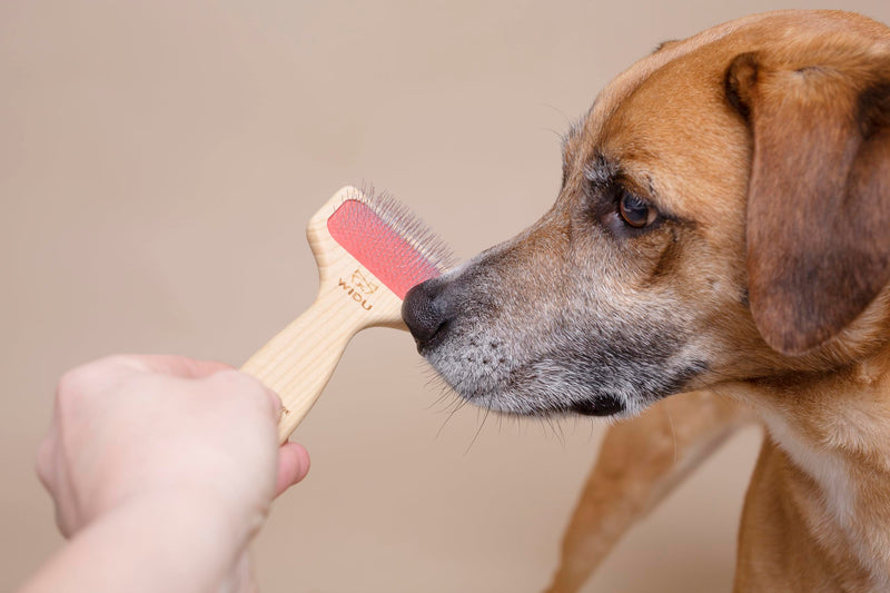 WIDU - Brush for Dogs and Cats, Ideal for Small Pets with Short Hair, Professional Carder in Ash Wood, Handmade in Italy - 16 x 7 cm, with 15 mm Long Teeth and 70° Inclination - PawsPlanet Australia