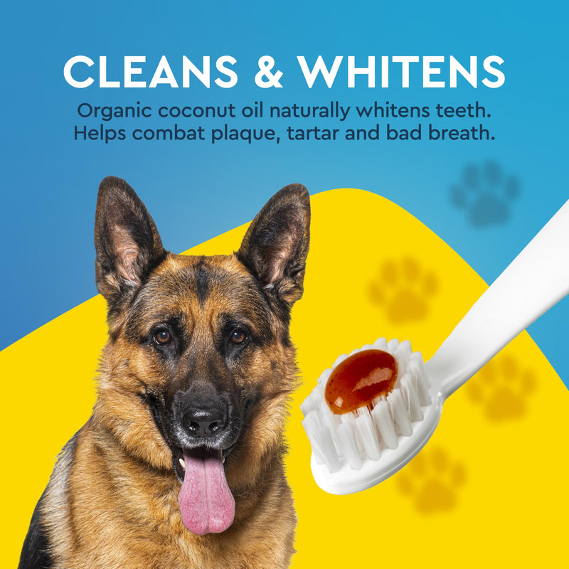RADIUS Canine Pet Toothpaste, Cinnamon Sweet Potato, 3 oz, Non-Toxic Toothpaste for Dogs, Designed to Clean Teeth, Help Prevent Tartar, & Remove Plaque, Xylitol Free, Pack of 2 3 Ounce (Pack of 2)