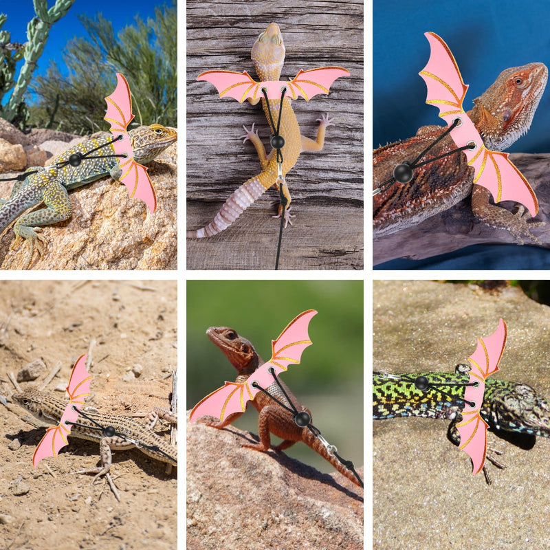 3PCS Pink Bearded Dragon Harness and Leash, Adjustable Lizard Harness with Wings for Reptile Lizard, Amphibians, Outdoor Walking Vest with Traction Rope (S, M, L) - PawsPlanet Australia