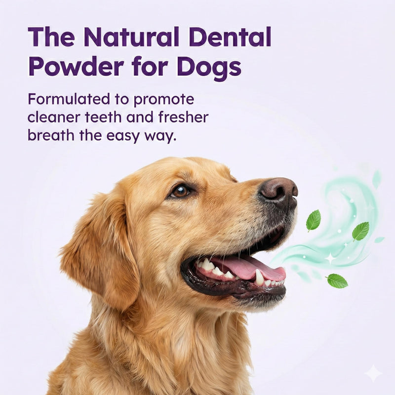 Dog Dental Powder for Teeth Cleaning - Dental Powder for Dogs Teeth – Dog Bad Breath Treatment with Probiotics for Fresh Breath & Oral Health – Chicken Flavored, 60 Scoop Supply - PawsPlanet Australia