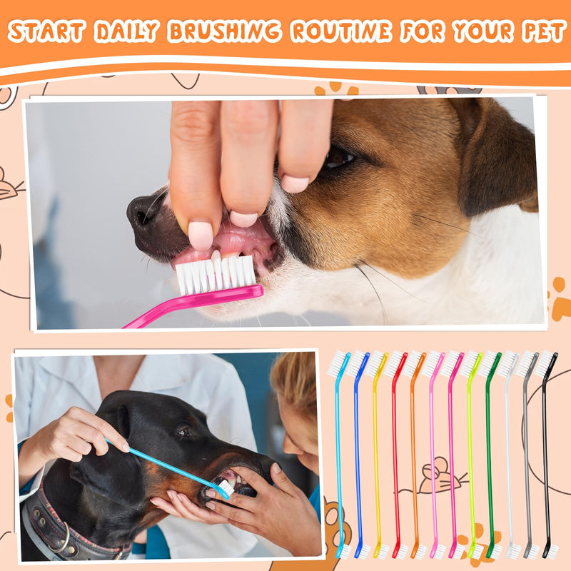 12Pcs Toothbrush for Dogs Small Breed,Dual Headed Pet Toothbrush,Dental Hygiene Soft Toothbrush to Clean Pet Teeth,Dog Tooth Brush for Small to Large Dogs, Cats, and Most Pets, 12 Color - PawsPlanet Australia