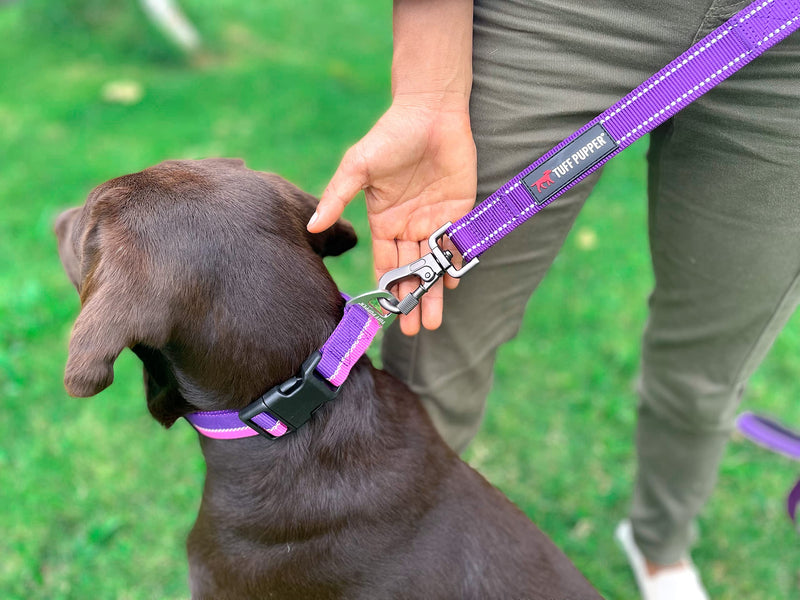 Tuff Pupper Heavy Duty Double Handle Leash | Twist Locking Carabiner Clip | Safety Lock for Strong Dogs | Reflective for Safe Night Walks | 6 Foot Leash | For Medium & Large Dogs Purple - PawsPlanet Australia