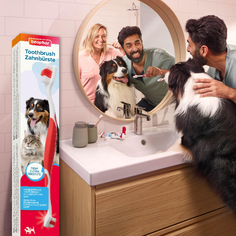 Beaphar Toothbrush, 1 piece. 1pc (pack of 1)