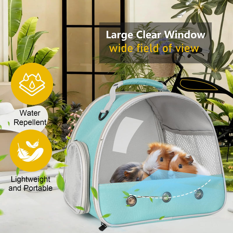 Bearded Dragon Carrier,Lizards Travel Bag, Small Animal Travel Carrier for Hedgehog Rat Parrot Bird, Portable Guinea Pig Travel Carrier for 2 Green