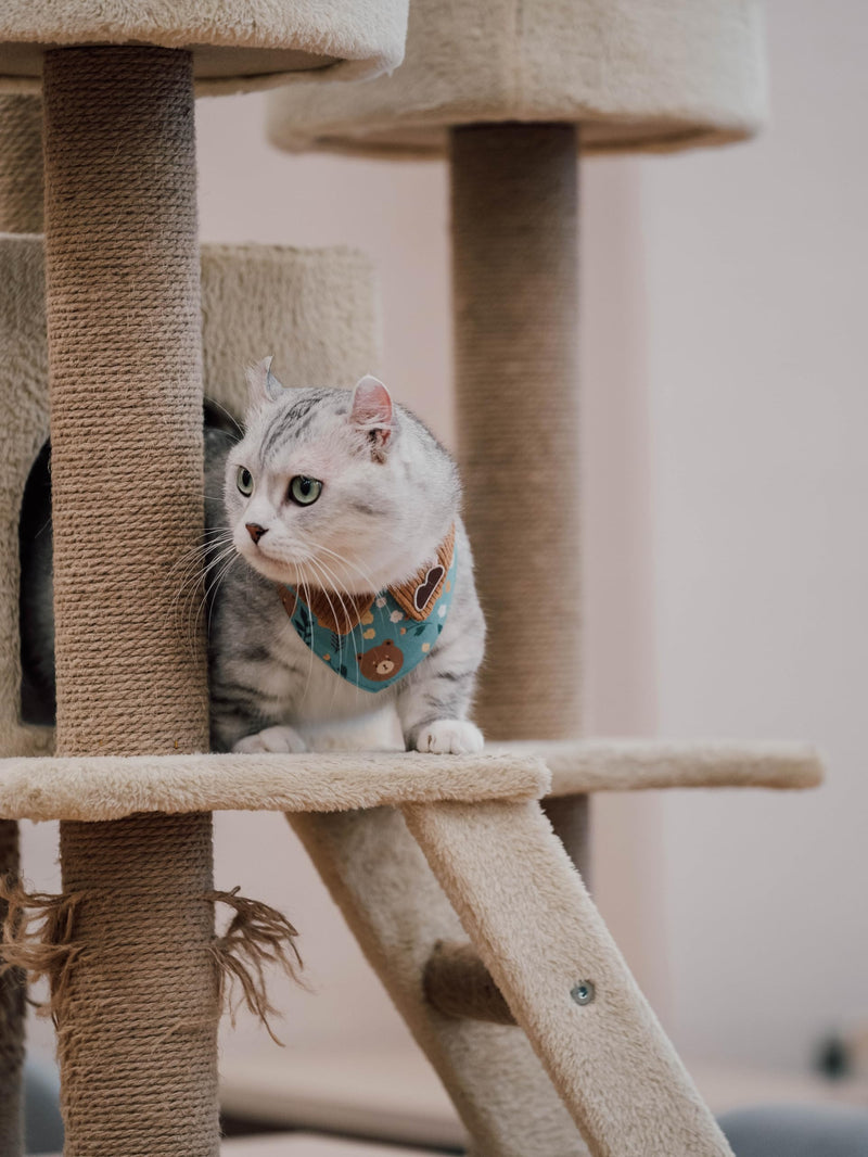 Pet Bandana for Cats and Dogs | Soft and Durable Pet Scarf | Available in 5 Styles S/M/L/XL | Adjustable Triple-Snap Closure (Turquoise Bear, Small) Turquoise Bear - PawsPlanet Australia