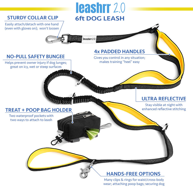 Anti Pull Dog Leash - Heavy Duty, 6ft, Sturdy Bungee, 4 Padded Handles, Strong Carabiner Clips and Rings, Highly Reflective, Poop Bag Holder + Treat Pouch, Large Breeds by Leashrr 2.0 (Royal Blue) Royal Blue - PawsPlanet Australia