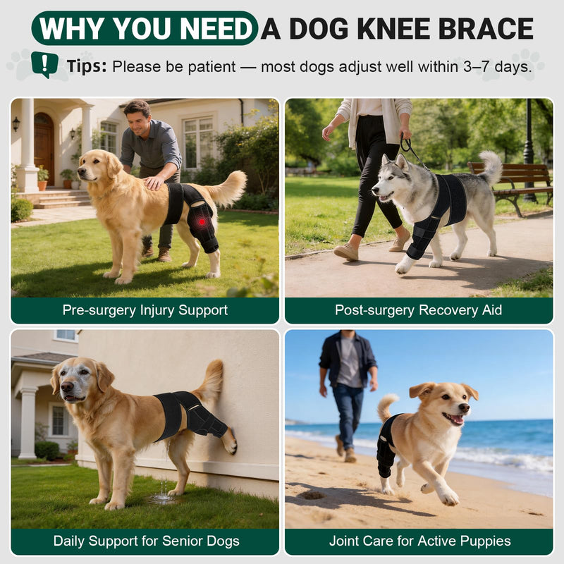 Dog Knee Brace for Back Leg, Adjustable Elbow Braces with Stabilizers, Canine Joint Support for Torn ACL, Luxating Patella, Arthritis, Ligament Injury and Post-Surgery Recovery, Universal (S) S