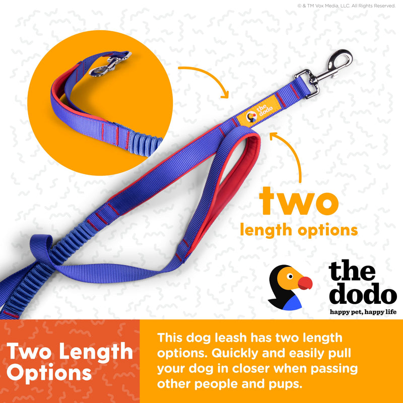The Dodo Bungee Dog Leash, Blue - Easily Attaches to Any Dog Collar or Harness D-Ring - Two Length Options - Comfortable 4 Feet Walking Leash for All Dogs - PawsPlanet Australia