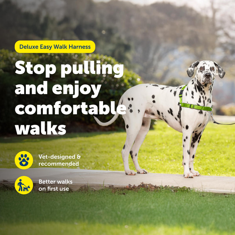 PetSafe Easy Walk Deluxe Dog Harness, No Pull Dog Harness – Perfect for Leash & Harness Training – Stops Pets from Pulling and Choking on Walks – Large, Apple Large (Pack of 1) Apple Green - PawsPlanet Australia