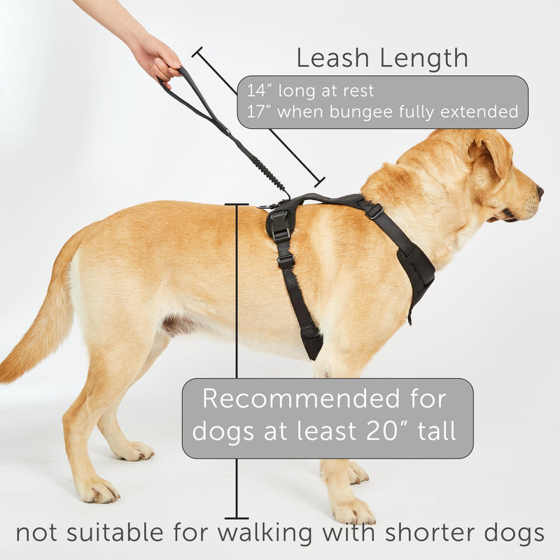 TUG Grab Dog Harness | Integrated Traffic Leash Magnetically Attached for Quick Control (Large/Green) Green L - PawsPlanet Australia
