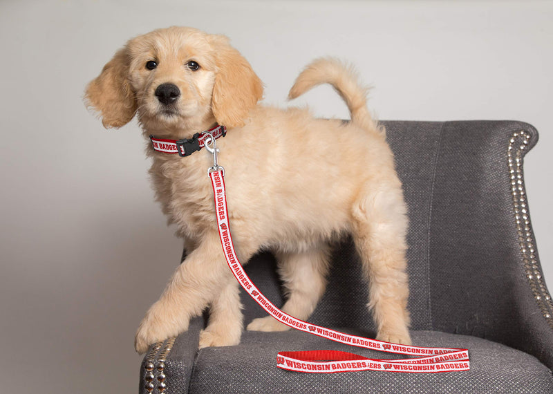 NCAA PET Leash, Large, Wisconsin Badgers, Shiny & Colorful Leash for Dogs & Cats Licensed by The NCAA - PawsPlanet Australia