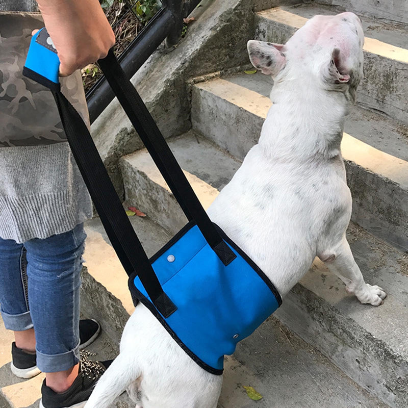 Adjustable Dog Harness Dog Training Carrier Soft Padded Leads Non Pull Lifts Harness Pet Carrier Support for Hind Legs Male Large Dogs