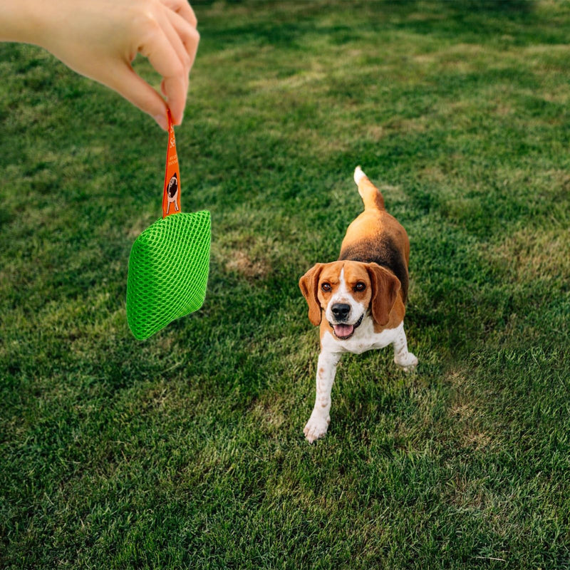 Dog Scent Training kit, Brain Games, Hide and Seek Toys - Fun Nose Work Games, Sniff and Seek Sniffing Toys, Nosework Kit, Scent Work Kit for All Ages Dog (Green) Green - PawsPlanet Australia