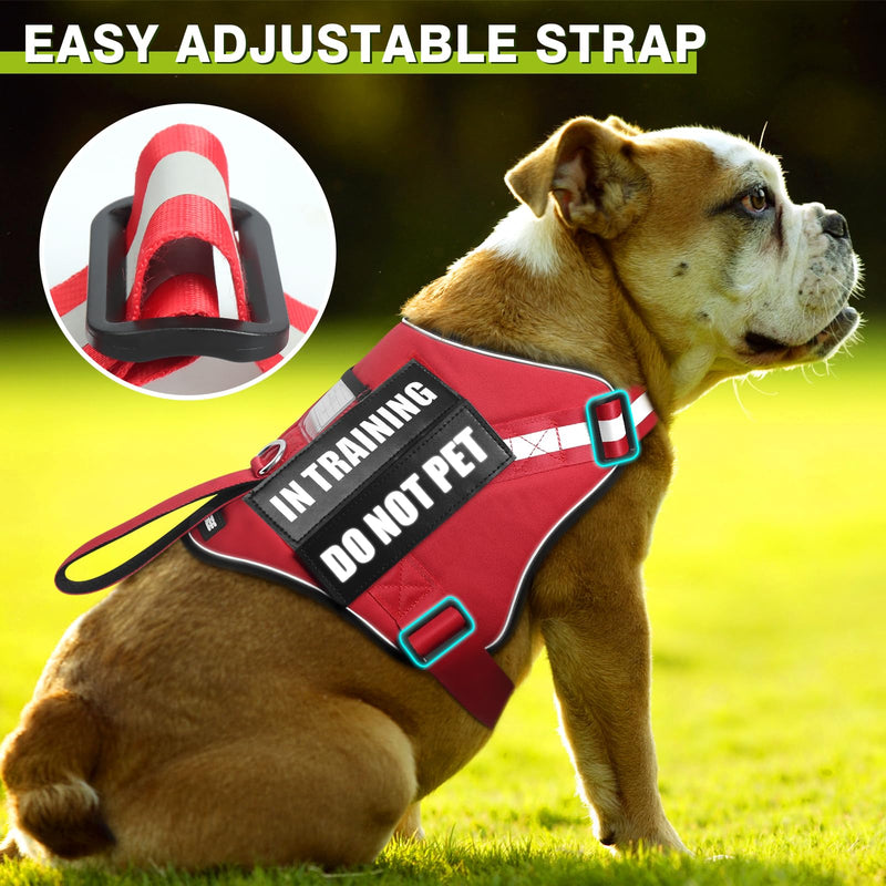 Service Dog Harness and Leash Set, Training Dog Vest with 10 Dog Patches, Emotional Support Therapy Dog Vest Harness for Small Medium Large and Extra Large Dogs(Red, L) Red - PawsPlanet Australia