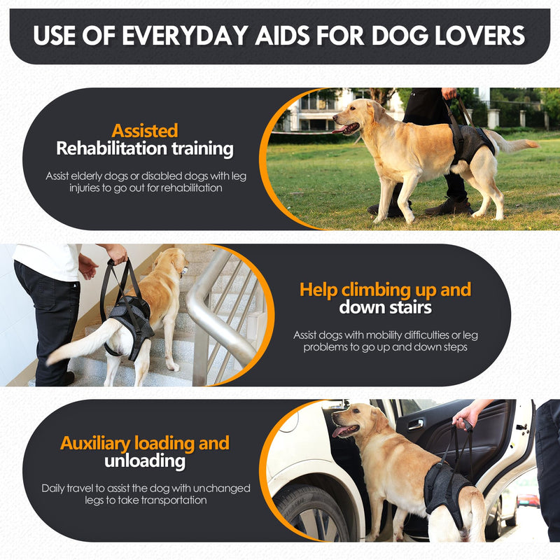 Adjustable Dog Lifting Harness for Back Legs | Support Sling & Hind Leg Brace for Injured, Disabled, Elderly Dogs | Small/Medium/Large Sizes with Lift Handle & Padded Straps (M) M