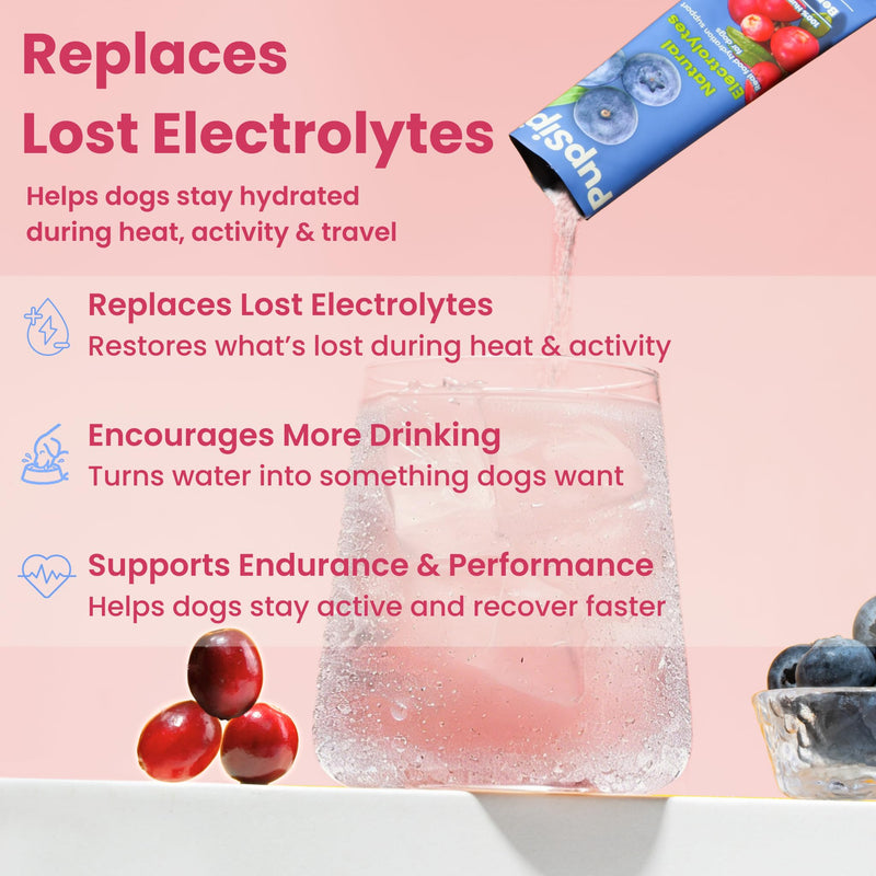 Dog Electrolytes – Hydration Support for Heat, Travel & Exercise – Helps Prevent Dehydration & Encourage Drinking – Water Flavor Enhancer with Electrolytes for Dogs, 12 Sticks