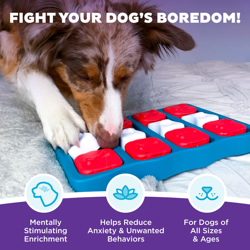 Outward Hound Nina Ottosson Dog Brick Dog Puzzle Interactive Treat Puzzle Dog Enrichment Dog Toy, Level 2 Intermediate, Blue Dog Brick (Red, White, Blue) - PawsPlanet Australia