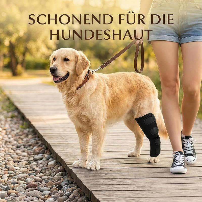2 Pieces Knee Brace for Dog Hind Leg, Ankle Brace for Dogs, Comfortable, Adjustable, Licking Protection for Dog Hind Leg, Dog Leg Bandage for Wrapping Wounds and Injuries, for Wound Healing, M