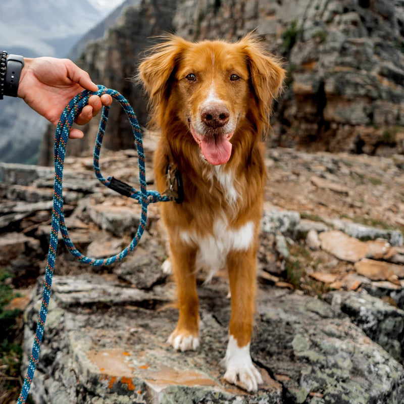 Wilderdog Carabiner Climbing Rope Dog Leash for Medium & Large Dogs - 10ft - Pacific Blue - PawsPlanet Australia