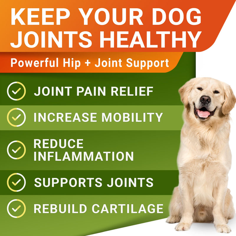 Hemp Treats - Glucosamine Dog Joint Supplement + Omega 3 - w/Hemp Oil - Chondroitin, MSM - Advanced Mobility Chews - Joint Pain Relief - Hip & Joint Care - Chicken Flavor - 120 Ct - Made in USA 120Ct (Chicken) (HIP&JOINT) Hemp Chews