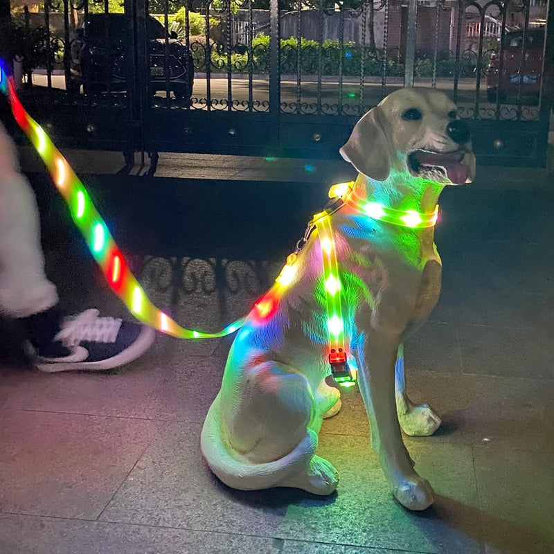 Light Up Dog Harness for Medium Dogs Lighted Dog Harness Rechargeable Waterproof Illuminated Glow in The Dark Light up Dog Vest LED - PawsPlanet Australia