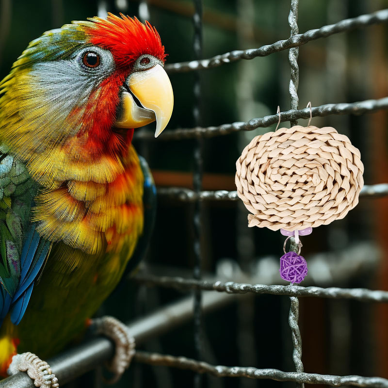 Bird Chewing Toy Shredding Bird Toy Parrot Chewing Toy Parrot Cage Bite Toy for Macaw Cockatoo Parakeets Pet Bird Cage Accessories - PawsPlanet Australia