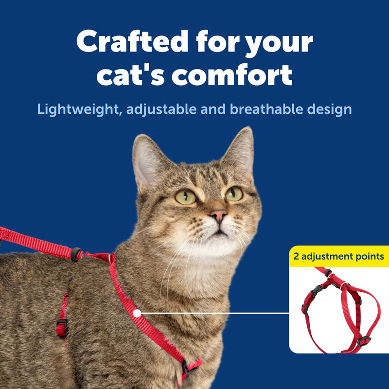 PetSafe Come With Me Kitty Harness and Bungee Leash, Medium, Red Medium (Pack of 1) - PawsPlanet Australia