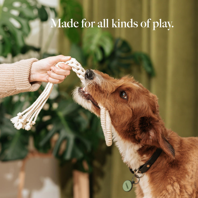 Natural, Non-Toxic Cotton Rope Toys for Small and Medium Dogs | 2-Pack | Durable & Eco-Friendly | Unique Boho Designs with Handle | Interactive Dog Toy - PawsPlanet Australia