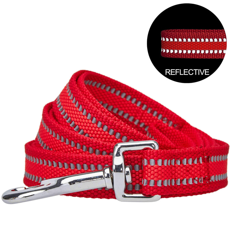 Blueberry Pet Essentials Reflective Better Basics Dog Leash, Rouge Red, 5 ft x 3/4", Medium, Leashes for Dogs - PawsPlanet Australia