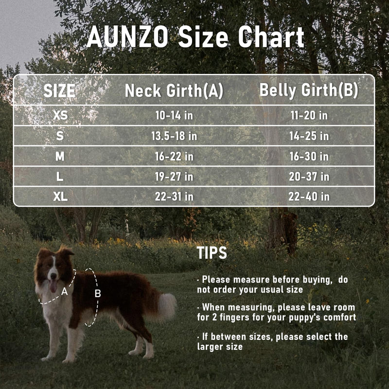 No Pull Dog Harness for Large Dogs with 2 Metal Clips, Easy On/Off with Neck Buckle, Heavy Duty Adjustable Tactical Puppy Vest, Breathable Pet Harness with Easy Control Handle, Blue L Blue Ethnic