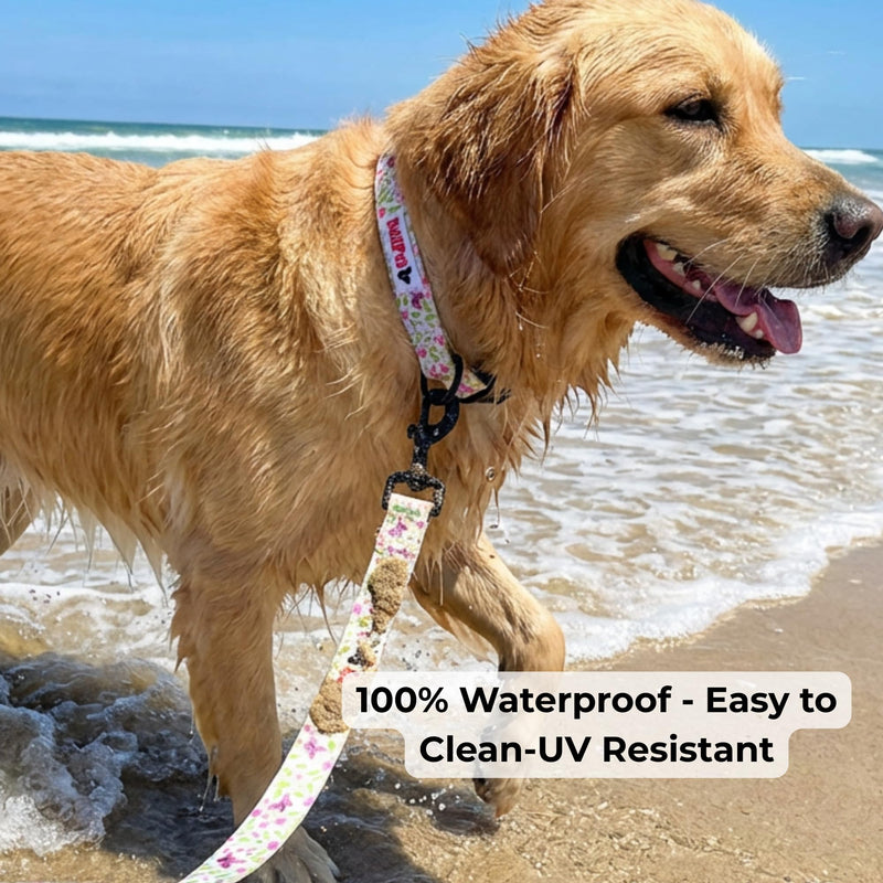 BOLDPET® Dog Collar and Leash Set - Durable Adjustable Puppy Collar with Secure Metal Buckle and 5 ft Length - Professional Grade Polyester for Small Medium and Large Dogs - PawsPlanet Australia