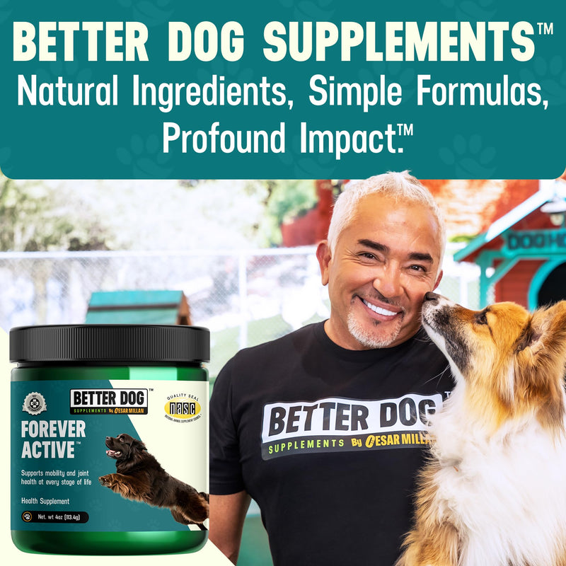 Better Dog Supplements Forever Active by Cesar Millan – Natural Hip & Joint Support Powder for Dogs – Mobility, Flexibility & Comfort with Boswellia, Devil’s Claw & Herbal Blend – 4oz (60-Day Supply) - PawsPlanet Australia