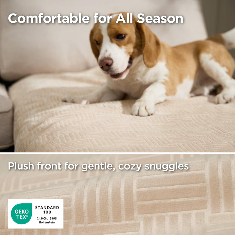 Bedsure Waterproof Couch Cover for Dogs Washable - Waterproof Blanket for Large Dogs Couch Sofa Bed Cozy, Lightweight Furniture Protector for Pet Cat Quick Drying, Sandy Tan, 52x82IN 52x82 inch - PawsPlanet Australia