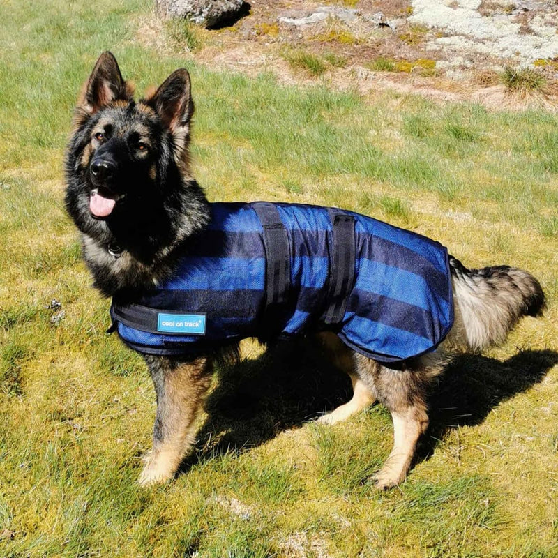 Back on Track Cool on Track Cooling Dog Coat (S2, 40cm / 14-16.5")