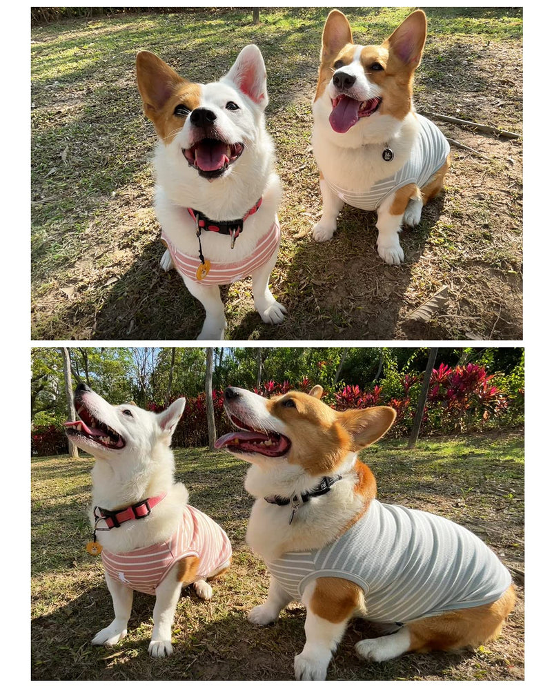 Koneseve Dog Shirt Vest Lightweight Stretchy Dog T-Shirts Soft Cool Shirts Sleeveless Stripe Vests Breathable Clothes for Puppy Kitty Cats Small Medium Large Dogs 2 Pack Pink + Green [ 5XL ] 5XL-(50~77lb) | Chest(~35") - PawsPlanet Australia