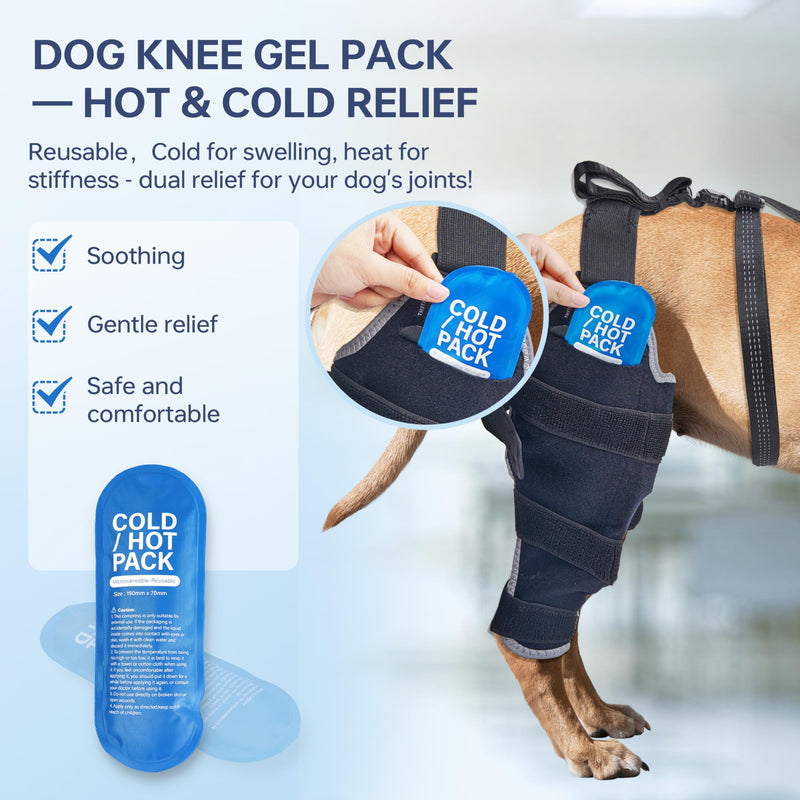 Dog Knee Brace for Back Leg - Adjustable Breathable Canine Leg Wrap with Hot & Cold Gel Packs - Supports Large & Medium Dogs with Arthritis, Hip Dysplasia, ACL Injuries M right leg