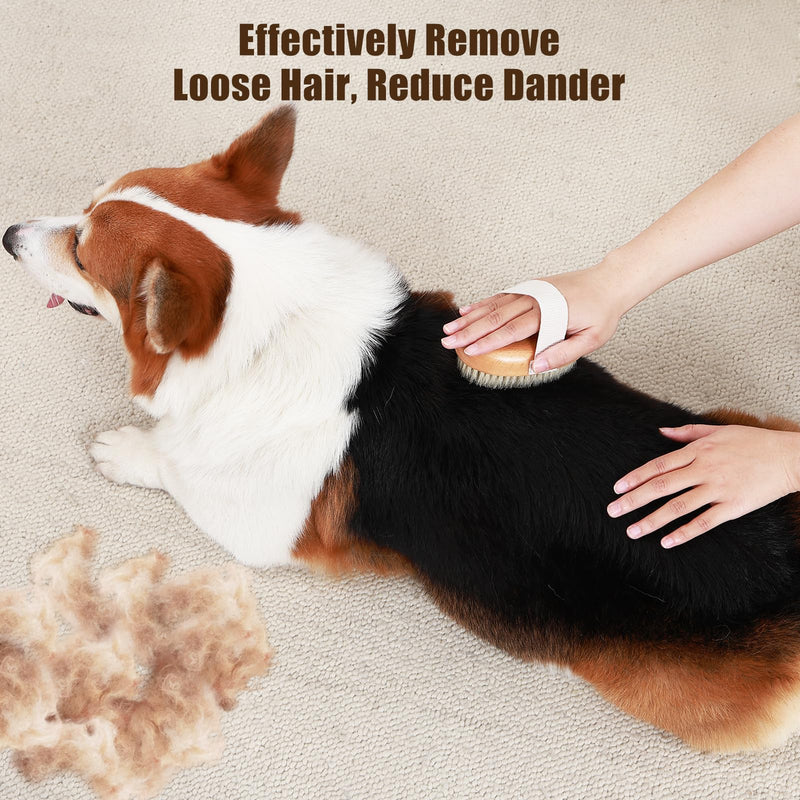 Soft Boar Bristle Pet Palm Brush for Short Haired Dogs and Cats with Band, Reduce Shedding, Ergonomic Dog Brush, Easy to Hold and Reduces Stress On Your Wrist | Ideal for Daily Grooming Wood - PawsPlanet Australia