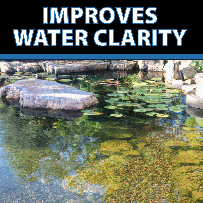 CrystalClear Barley Extract Pond Treatment – Natural Water Clarifier for Fountains, Water Gardens & Koi Ponds, Clears Cloudiness, Fish & Plant Safe, 16 Ounces 16 Oz - PawsPlanet Australia