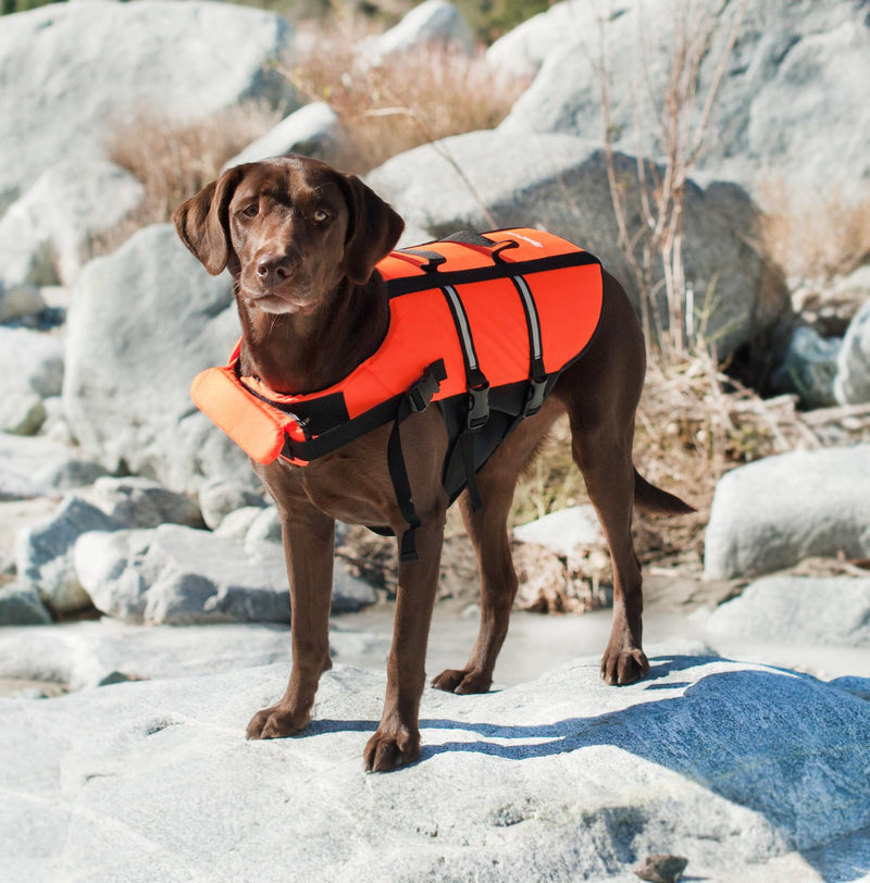 ZippyPaws Adventure Life Jacket for Dogs - Red - Small