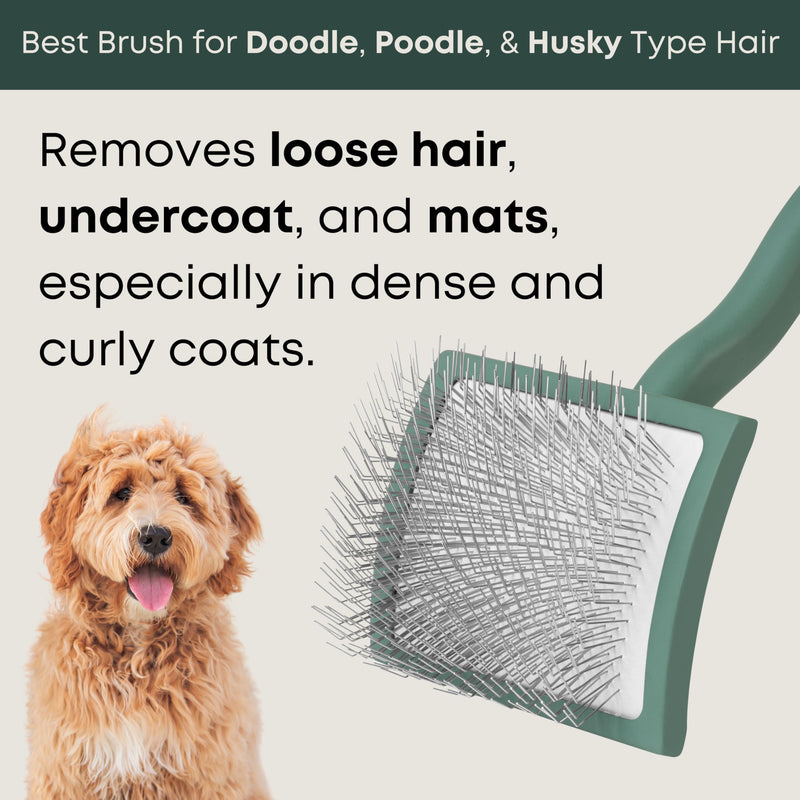 Freshly Bailey Doodle Brush for Goldendoodle, Poodle, and Labradoodle Coats - Best Slicker for Dogs With Wavy & Curly Hair - Detangle & Fluff Like a Pro - Grooming Must Haves (Large) Large