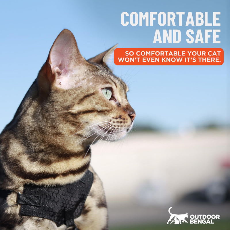 Houdini™ Escape Proof Cat Harness and Leash Set by OutdoorBengal – Black, Large Cat Harness for Walking Big Cats XL - PawsPlanet Australia