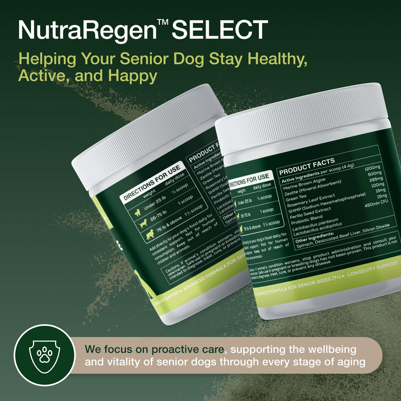 Nutraregen Senior Dog Dental Powder 30 Scoops | Beef Flavored Dog Breath Freshener with Probiotic Blend for Oral & Gum Health | Pet Dental Powder Helps Manage Plaque & Tartar Buildup | 4.6 Oz - PawsPlanet Australia