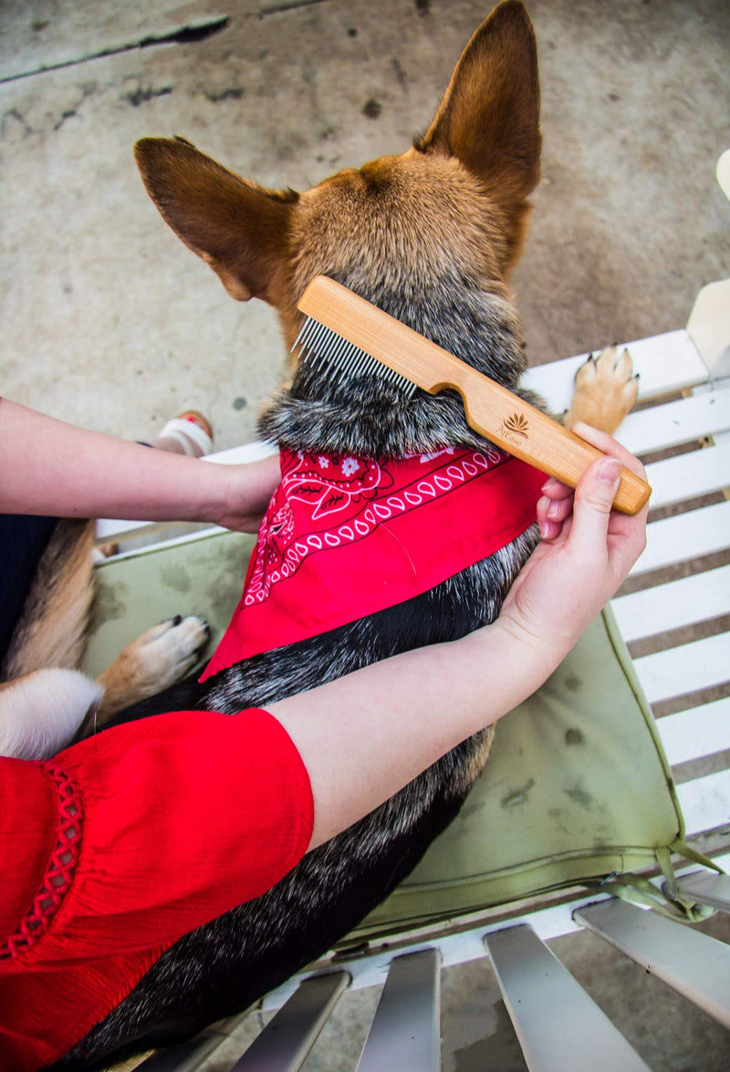 Detangling Pet Comb for Matted Hair and Detangler, with Long & Short Stainless Steel Teeth for Dog and Cat- Natural Easy Grooming Tool - PawsPlanet Australia