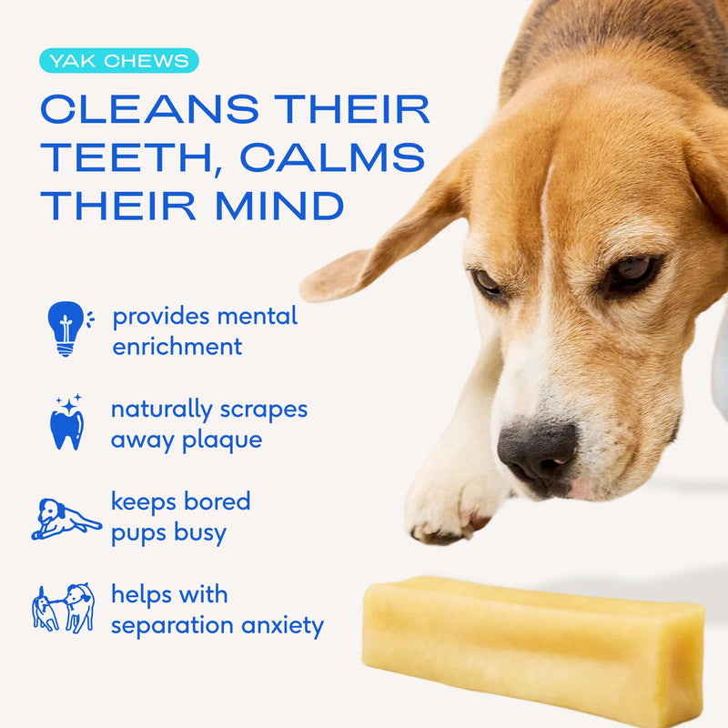 Native Pet Yak Cheese Himalayan Dog Chews - Long Lasting Dental Sticks for Medium Breeds – 100% All Natural Himalayan Yak Chews for Medium Dogs – Cheese Bone for Aggressive Chewers - 3 Per Pack 3 Chews