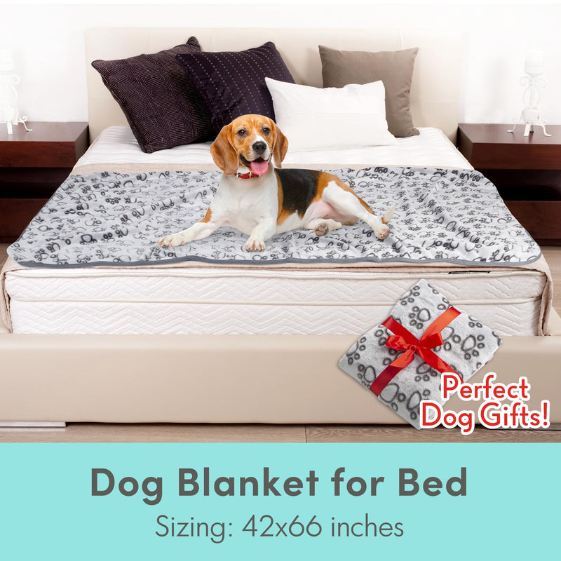 Stuffed Premium Soft Dog Blanket, with Flannel Grey Cute Paw Print, 43 * 66 inches, Cat Blanket Puppy Supplies Dog Products Stuff Essentials 42x66 inches - PawsPlanet Australia