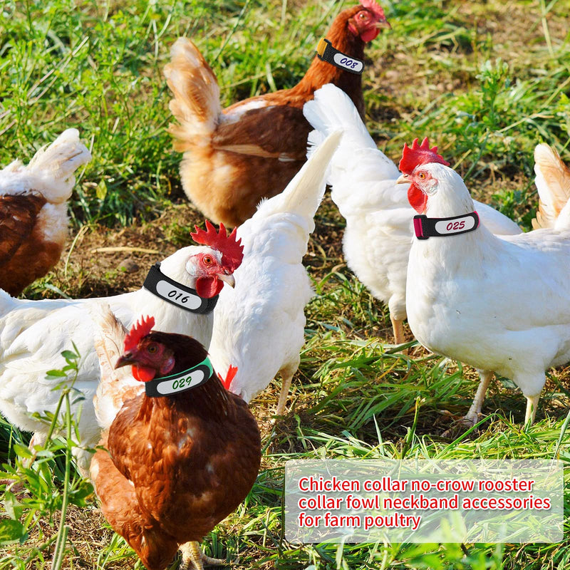 Shappy 48 Pieces Large Rooster Collar Crow Collar with Blank Label Anti Crow Noise Neck Belt Nylon Rooster Collar for Roosters Cockerel, Prevent Chicken from Screaming or Disturbing Neighbors - PawsPlanet Australia
