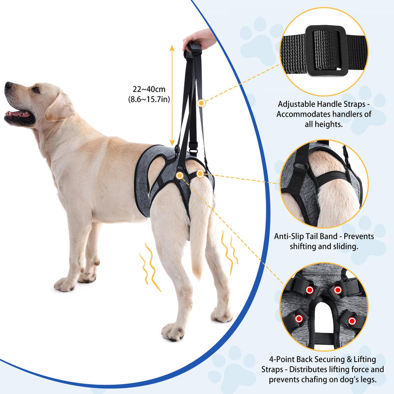 LIANZIMAU Dog Sling for Large Dogs Adjustable Hind Leg Support Lift Harness Senior Canine Mobility Aid Carrier for Back Legs Walking Rehabilitation Grey L - PawsPlanet Australia
